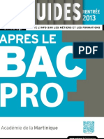 Bacpro_2013.pdf