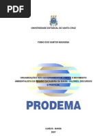 ORGANIZAÇÕES NÃO-GOVERNAMENTAIS (ONG) E O MOVIMENTO AMBIENTALISTA DA REGIÃO CACAUEIRA DA BAHIA VALORES, DISCURSOS E PRÁTICAS
