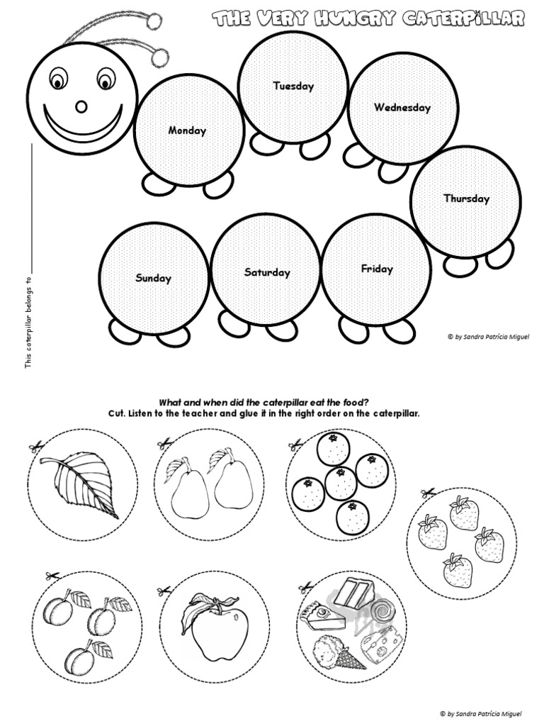 the very hungry caterpillar - sequencing activity | pdf