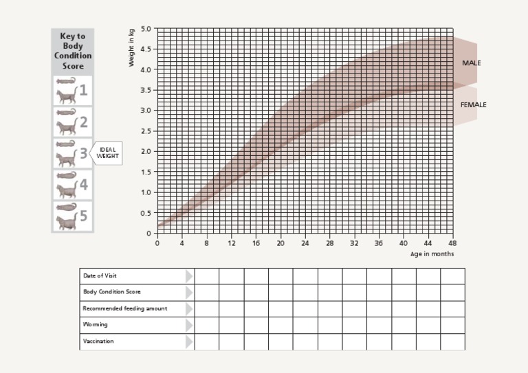 Kitten Growth Chart PDF