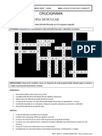 Crucigrama Distrofia Muscular