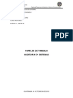 P de Trabajo Auditoria en Sistema