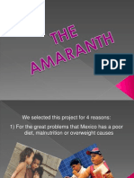 Presentacion El Amaranto