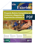 Proyecto Bolivia Competitiva en Comercio y Negocios (BCCN2)