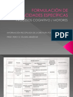 FORMULACIÓN DE CAPACIDADES ESPECÍFICAS