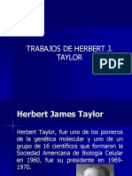 Trabajo Taylor