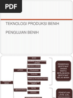 Download 6 PENGUJIAN BENIH by Afitania Anggraini SN141073760 doc pdf