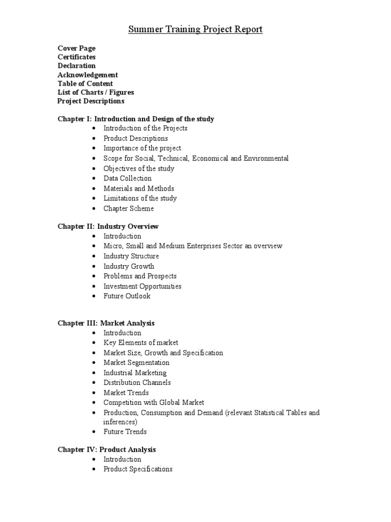 Summer Training Project Overview | PDF | Business