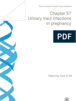 Treatment of Pregnant UTI