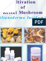Growing Reishi Mushrooms