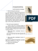 FAQ-Pest and Diseases