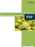 Pre-Feasibility Study-Guava Pulping & Squash Making Unit