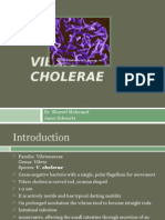 Vibrio Cholerae: By: Shareef Mohamed Jason Schwartz
