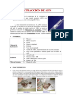 4.3 - Extracción de Adn