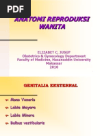 Download Anatomi Reproduksi Wanita  by ekhysyifka SN141161625 doc pdf