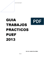 Worksheet Guide PUEF 2013