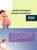 Cambios Fisiológicos Durante El Embarazo