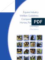 Horse Welfare Compendium