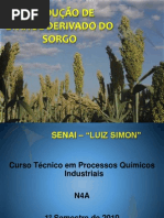 Apresentação-Sorgo
