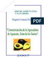 Caracterizacion de La Agrocadena Del Aguacate