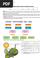 Prueba de Ciencias Naturales 6