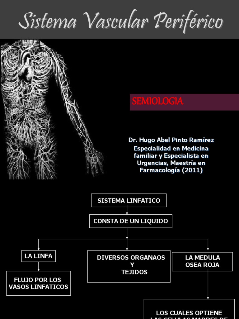 Sistema Vascular Periferico Completo Sistema linfático