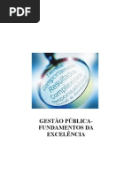 Fundamentos Da Excelencia Em Gestao Publica (1)