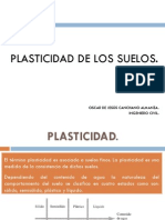 Presentación Plasticidad