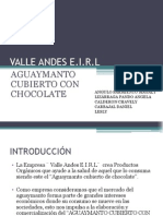 Aguaymanto Cubierto Con Chocolate