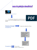 Quais As Causas Da Poluição Atmosférica.