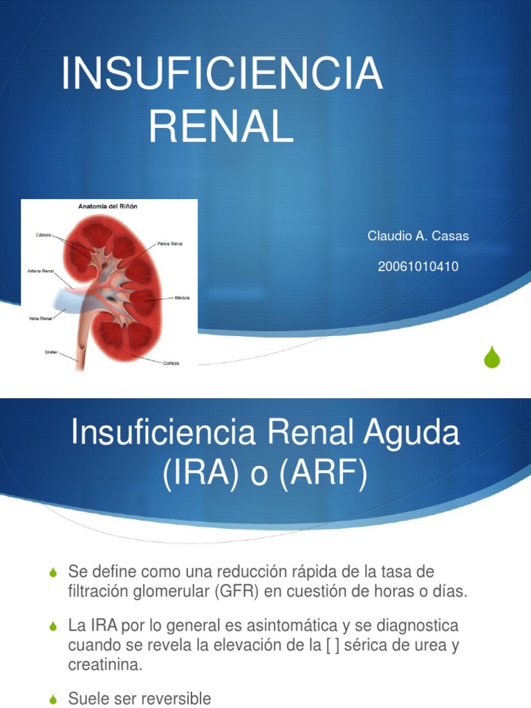 Guía Completa sobre Insuficiencia Renal | PDF | Riñón | Órgano (anatomía)