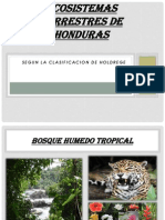 Ecosistemas Terrestres de Honduras