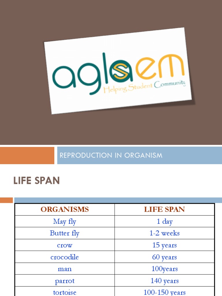 Backfired surmise essay 05 picture