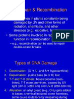 Lec12_DNA Repair.ppt