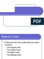 Cycles and Succession
