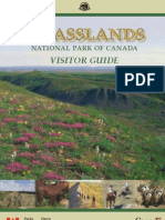 Grasslands National Park Guide