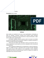 pra 2º modulo d informatica