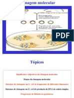 Clonagem Molecular