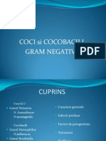 Cocobacili Gram Negativi