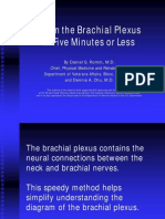 Learn the Brachial Plexus in Five Minutes or Less