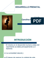 Desarrollo Prenatal Yo