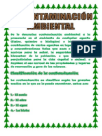 CONTAMINACION AMBIENTAL