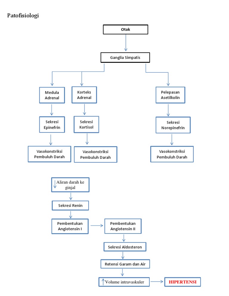 Pathway HT | PDF