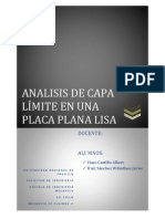 Analisis de Capa Limite en Una Placa Plana Lisa