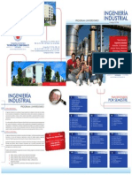 IngIndustrial.pdf