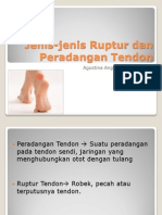 Jenis-Jenis Ruptur Dan Peradangan Tendon