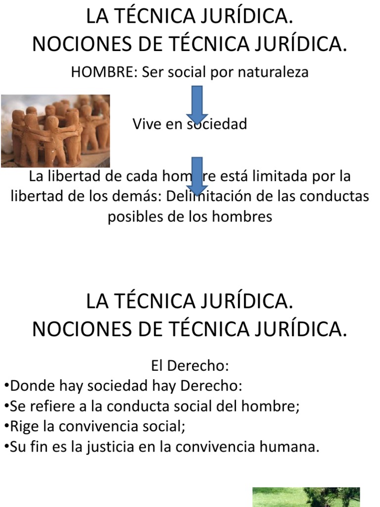 LA TÉCNICA JURÍDICA Legislación Sociedad