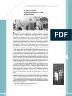 P 2008GuiaRiesgosQuimicosModelos PDF