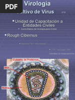 Download Virologia Cultivo de Virus 316 by Rough Cibernus SN14155499 doc pdf