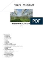 81238805 1 Plan de Afaceri Cultivarea Legumelor in Sistem Ecologic